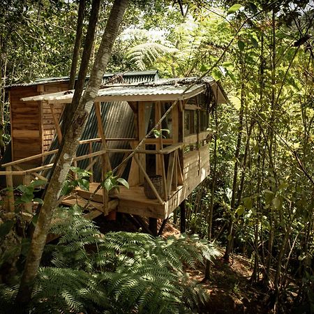 Cunae Ecolodge San Francisco de Macorís Esterno foto